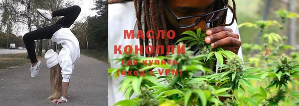 2c-b Бородино