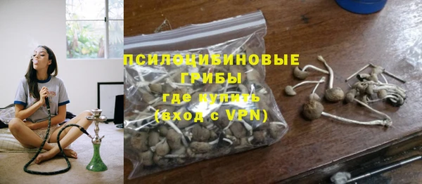 2c-b Бородино